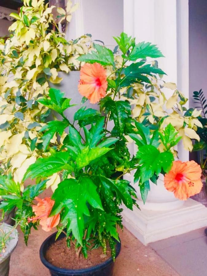 Ruslanka Homestay Ettukala エクステリア 写真